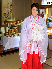 JapanHDV